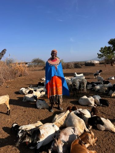 WhatsApp-Image-2025-12-17-at-18.03.46