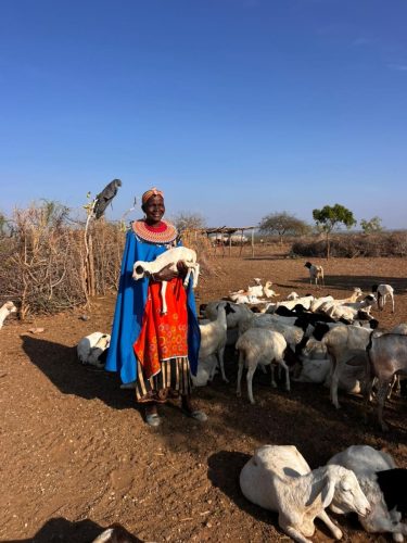 WhatsApp-Image-2025-12-17-at-18.03.54-1